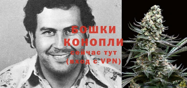первитин Осинники